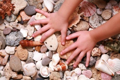 こどもの両手が石や貝殻に触れている写真